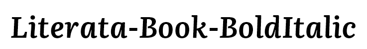 Literata-Book-BoldItalic
