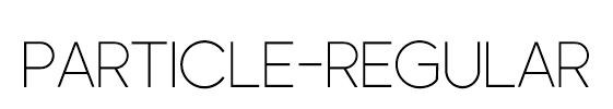 Particle-Regular