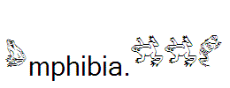 Amphibia