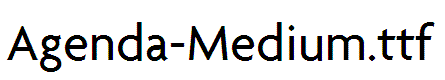 Agenda-Medium