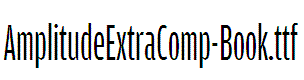 AmplitudeExtraComp-Book