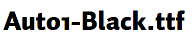 Auto1-Black