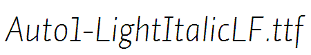 Auto1-LightItalicLF