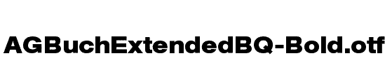 AGBuchExtendedBQ-Bold