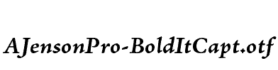 AJensonPro-BoldItCapt