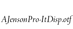AJensonPro-ItDisp