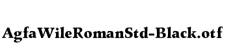 AgfaWileRomanStd-Black
