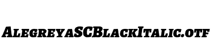 AlegreyaSCBlackItalic