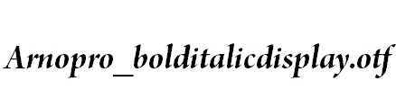 Arnopro_bolditalicdisplay