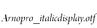 Arnopro_italicdisplay