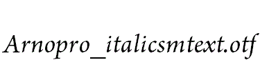 Arnopro_italicsmtext