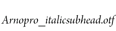 Arnopro_italicsubhead