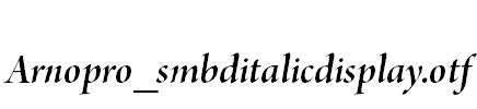 Arnopro_smbditalicdisplay