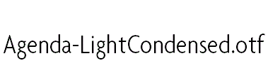 Agenda-LightCondensed