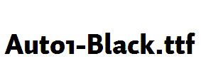 Auto1-Black