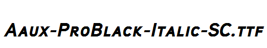 Aaux-ProBlack-Italic-SC