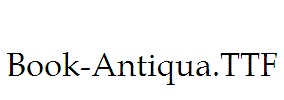 Book-Antiqua