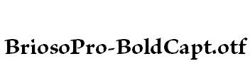 BriosoPro-BoldCapt