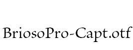 BriosoPro-Capt