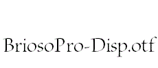 BriosoPro-Disp