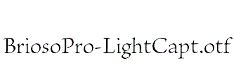 BriosoPro-LightCapt