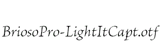 BriosoPro-LightItCapt