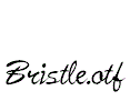 Bristle