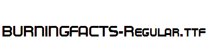 BURNINGFACTS-Regular