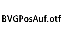 BVGPosAuf