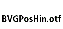 BVGPosHin