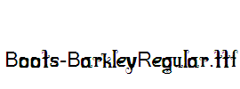 Boots-BarkleyRegular