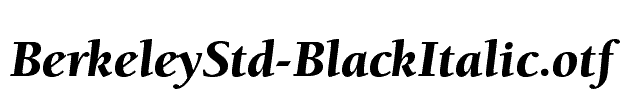 BerkeleyStd-BlackItalic