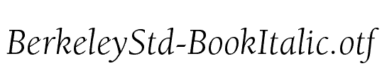 BerkeleyStd-BookItalic