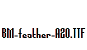 BM-feather-A20