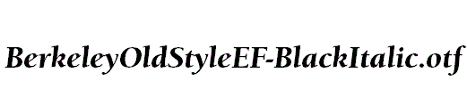 BerkeleyOldStyleEF-BlackItalic