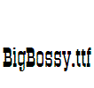 BigBossy