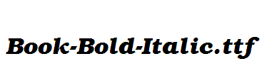 Book-Bold-Italic