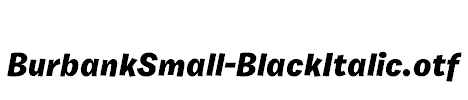 BurbankSmall-BlackItalic