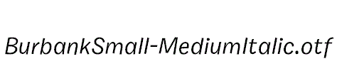 BurbankSmall-MediumItalic