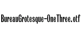 BureauGrotesque-OneThree