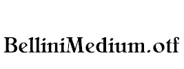 BelliniMedium