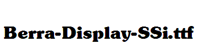 Berra-Display-SSi