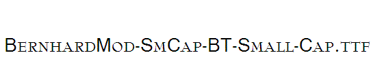 BernhardMod-SmCap-BT-Small-Cap