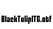 BlackTulipITC