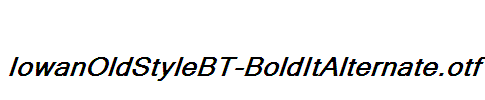 IowanOldStyleBT-BoldItAlternate