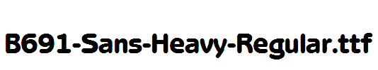 B691-Sans-Heavy-Regular