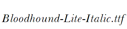 Bloodhound-Lite-Italic