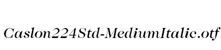 Caslon224Std-MediumItalic