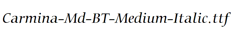 Carmina-Md-BT-Medium-Italic