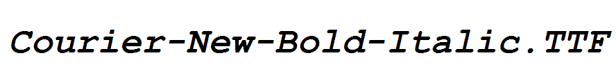 Courier-New-Bold-Italic